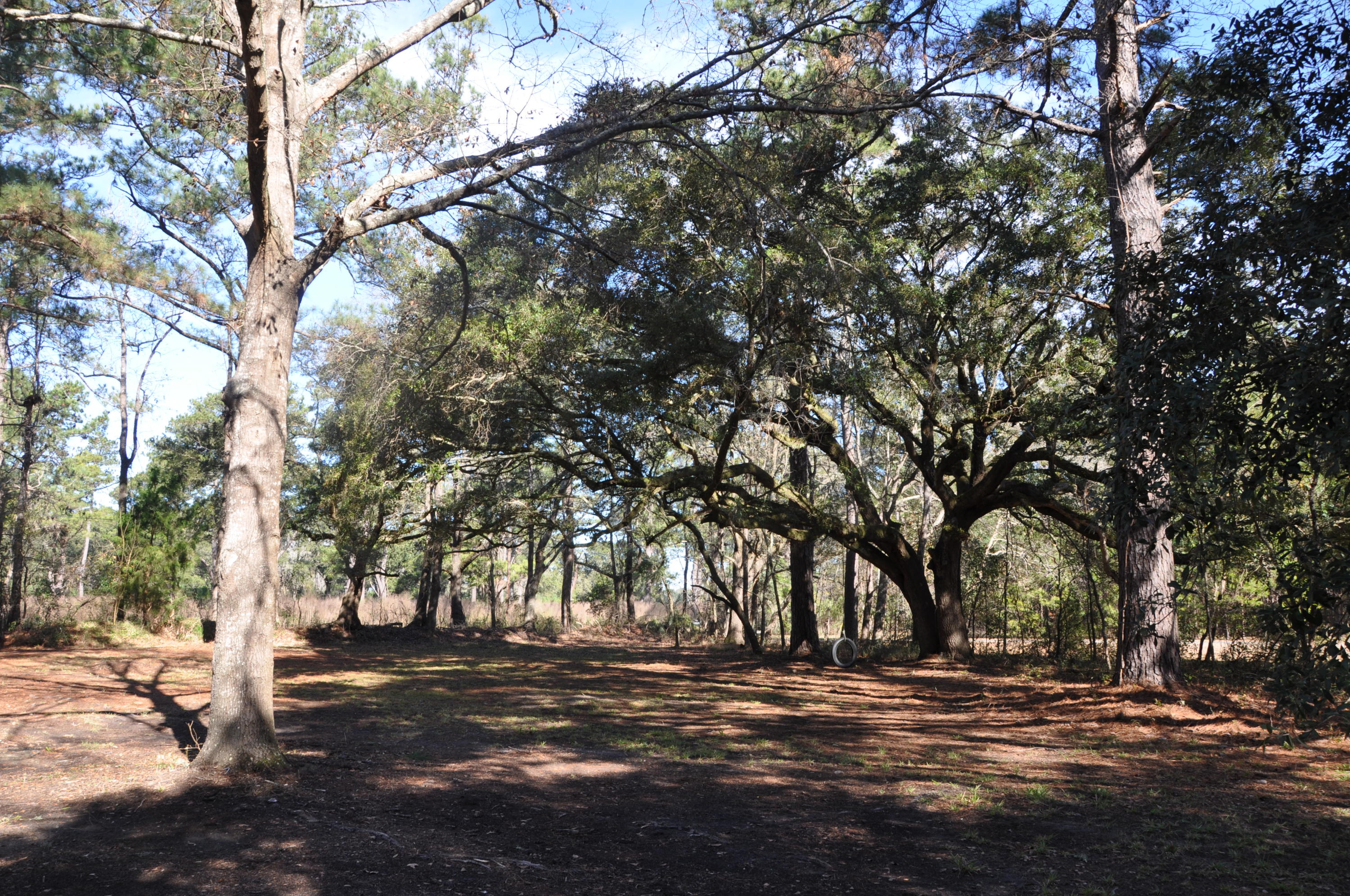 3797 Chisolm Road Johns Island, SC 29455 - Photo 17 of 22 DSC_1175