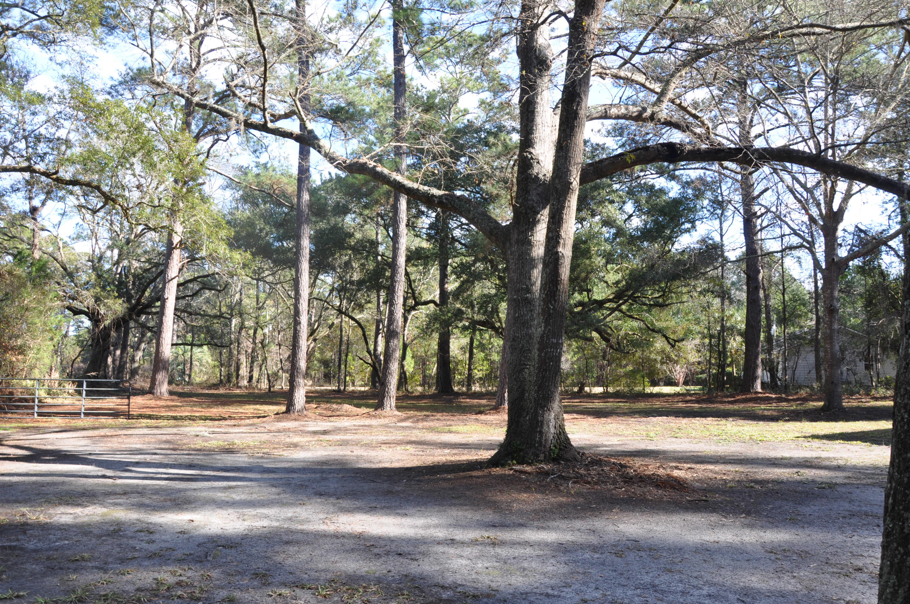 3797 Chisolm Road Johns Island, SC 29455 - Photo 20 of 22 DSC_1156