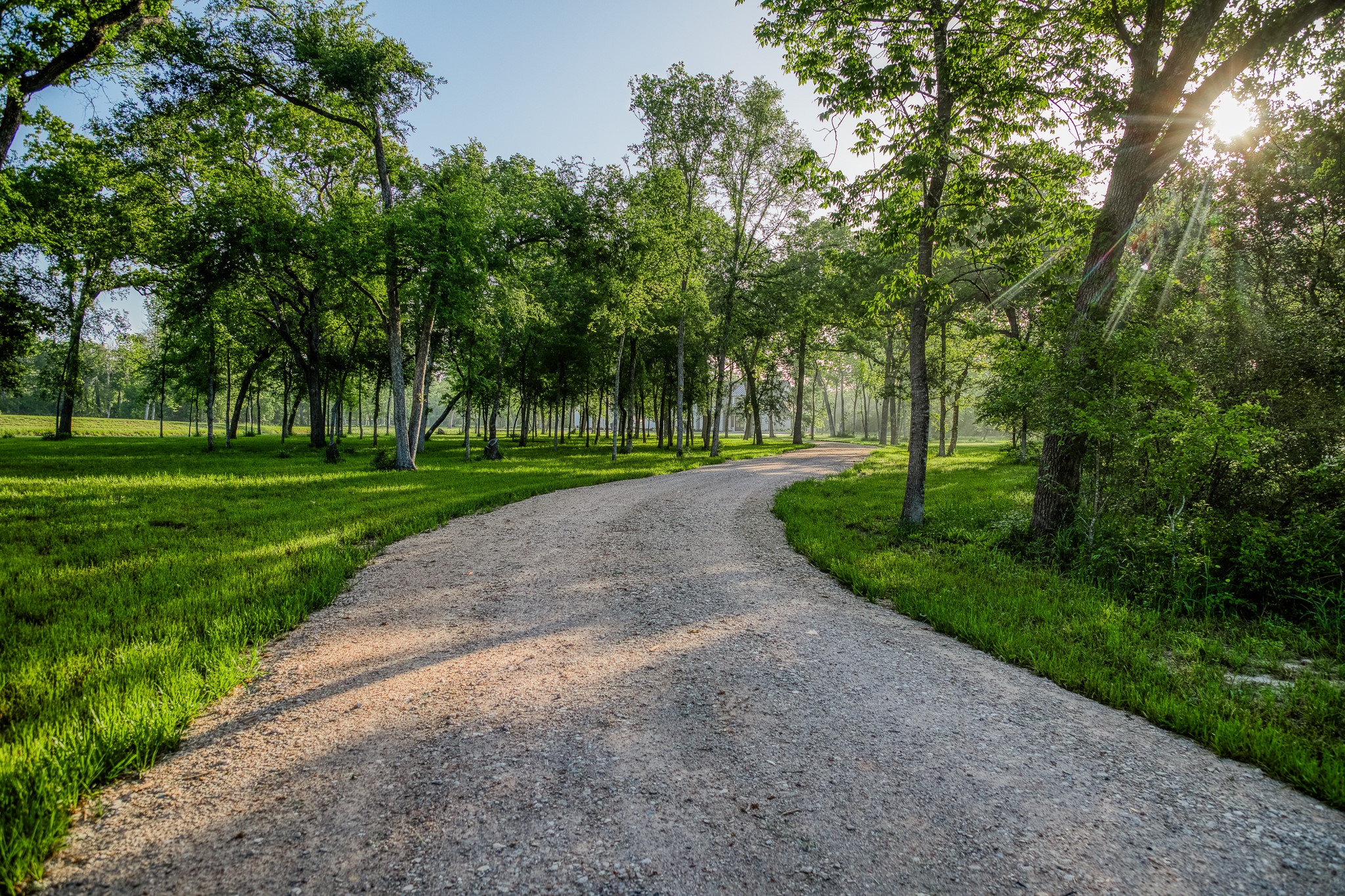 40051 Mesquite Hempstead, TX 77445 - Photo 4 of 29 a view of a park