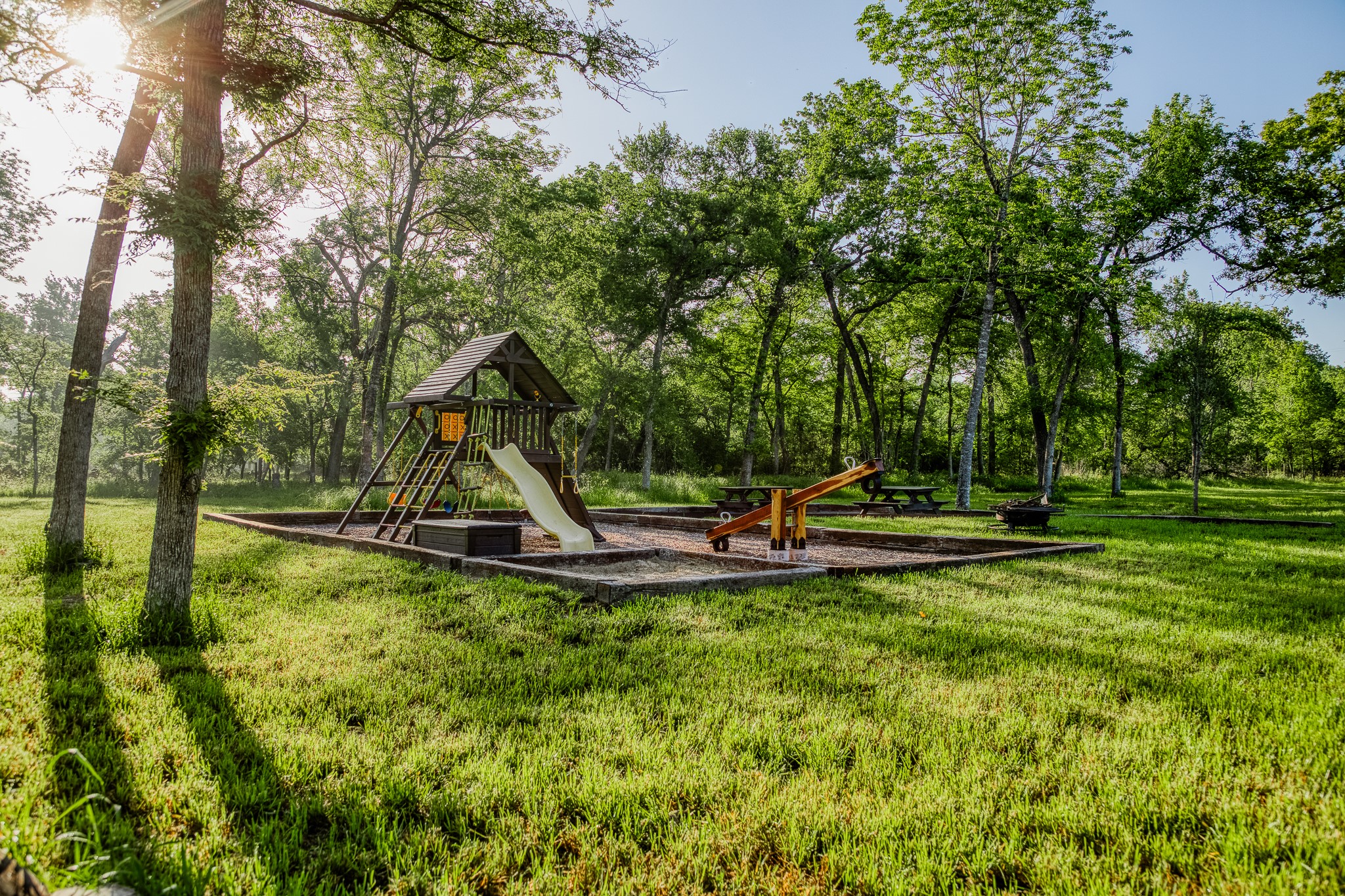 40051 Mesquite Hempstead, TX 77445 - Photo 9 of 29 a view of a park with large trees