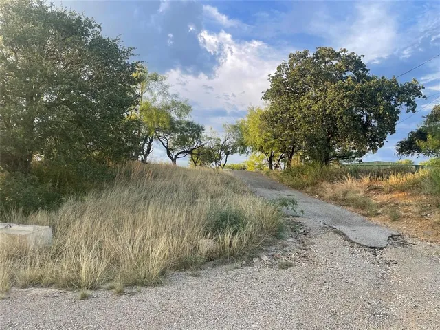 a view of a yard with a tree