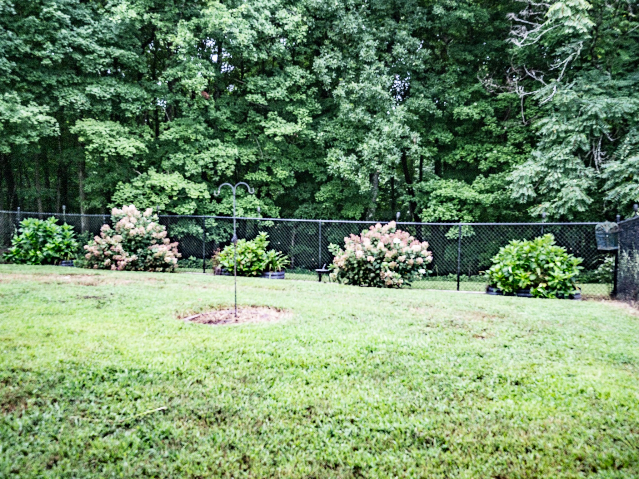 1004 Breeden Road Charlotte, TN 37036 - Photo 21 of 23 Gallery Image 21