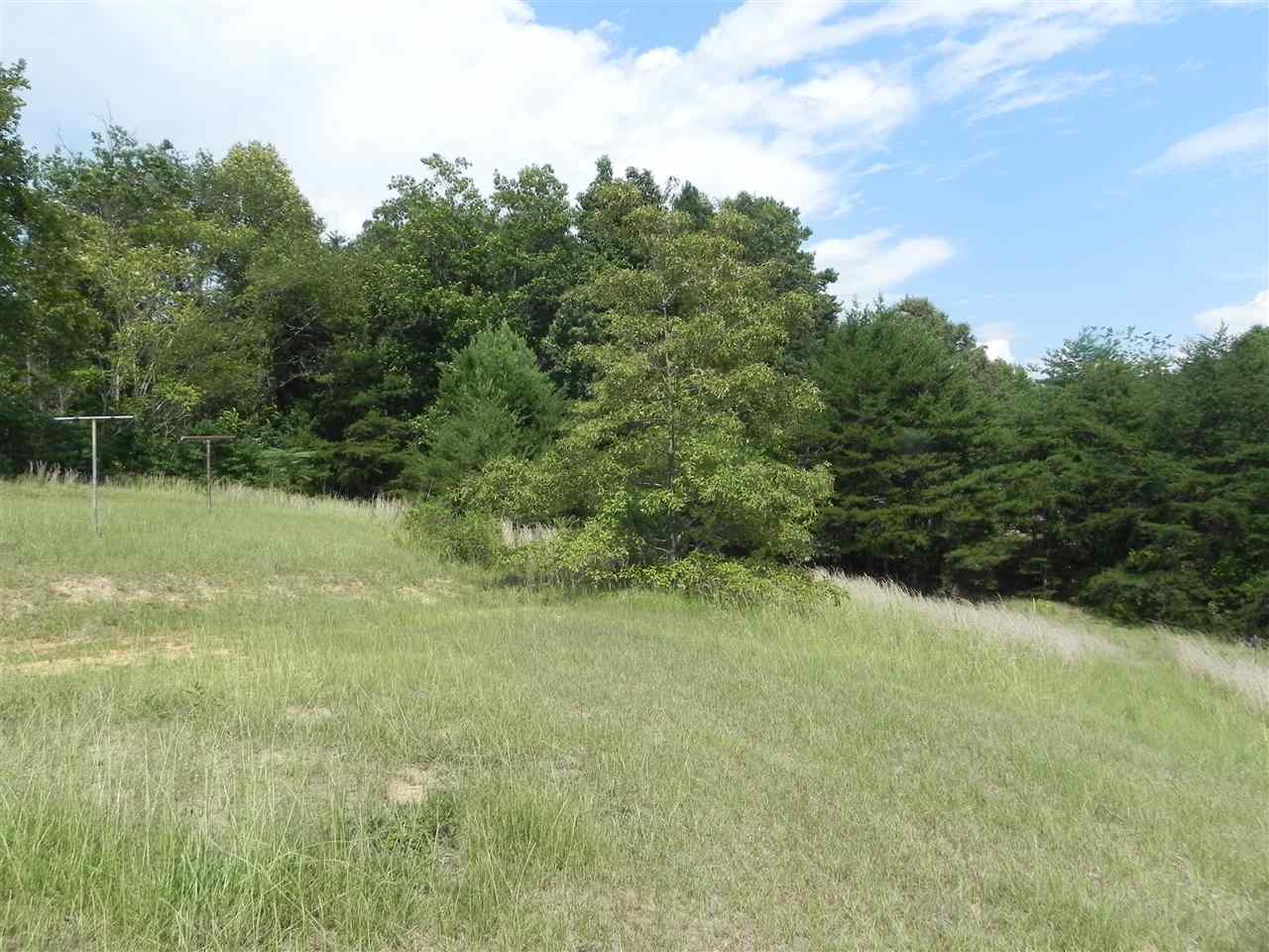 290 Lewis Road Campobello, SC 29322 - Photo 13 of 20