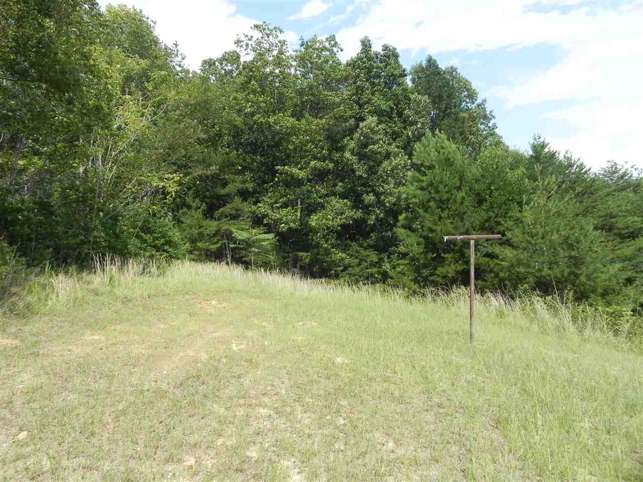 290 Lewis Road Campobello, SC 29322 - Photo 10 of 20
