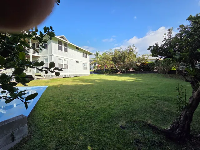 a view of a house with a yard and a large tree