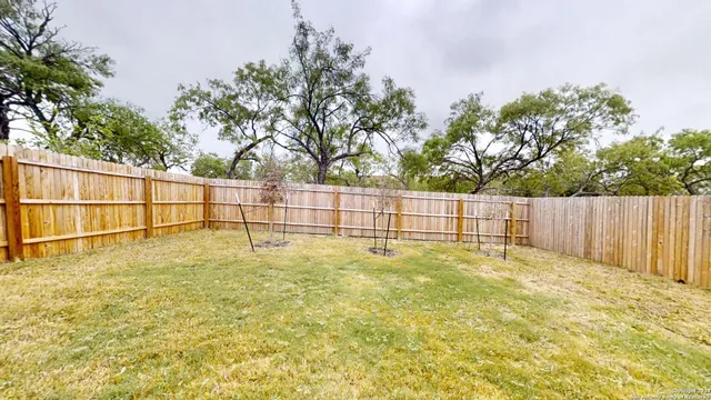 a view of a backyard