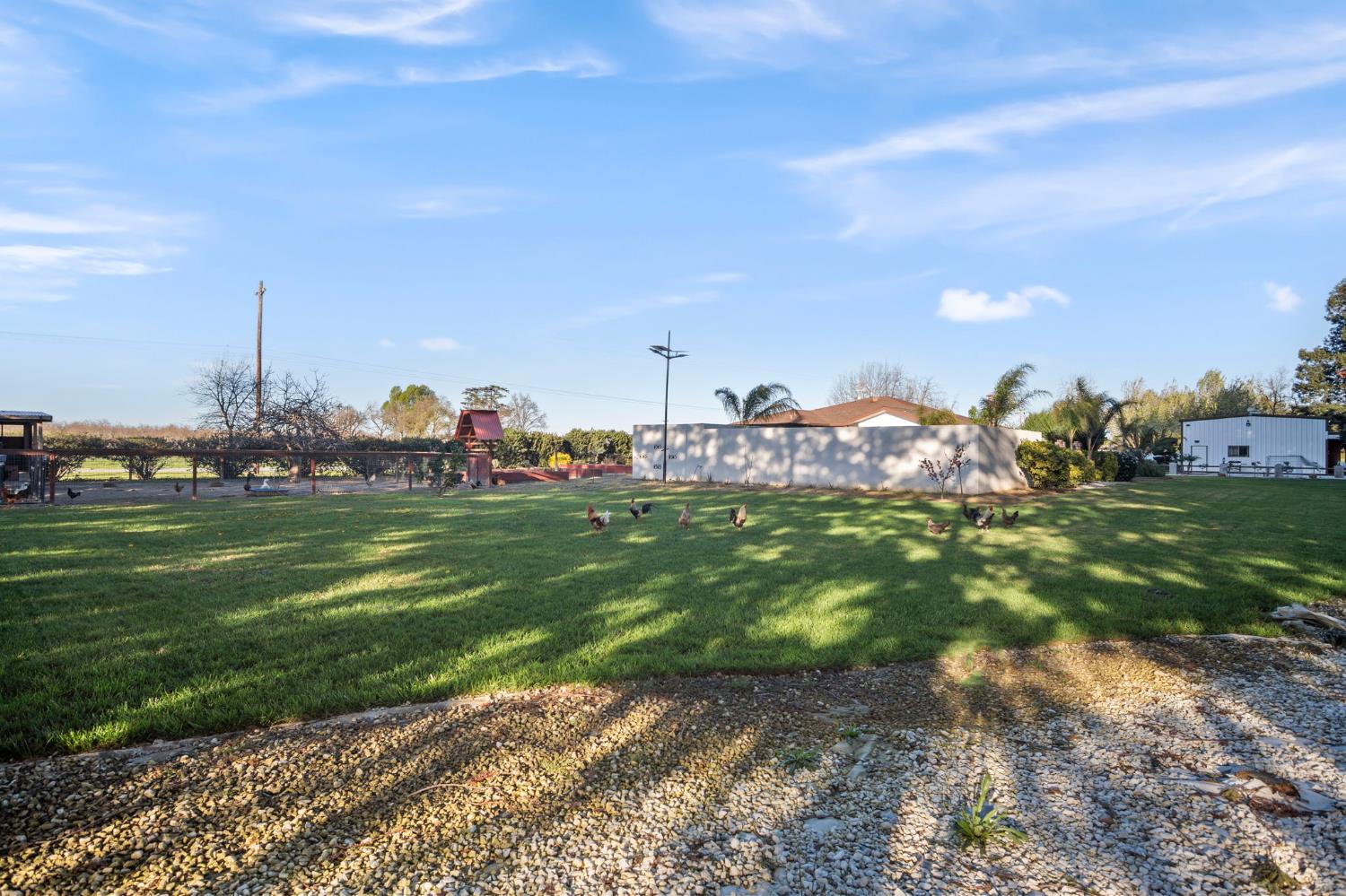 20201 Dustin Road Acampo, CA 95220 - Photo 14 of 16 a view of a green field