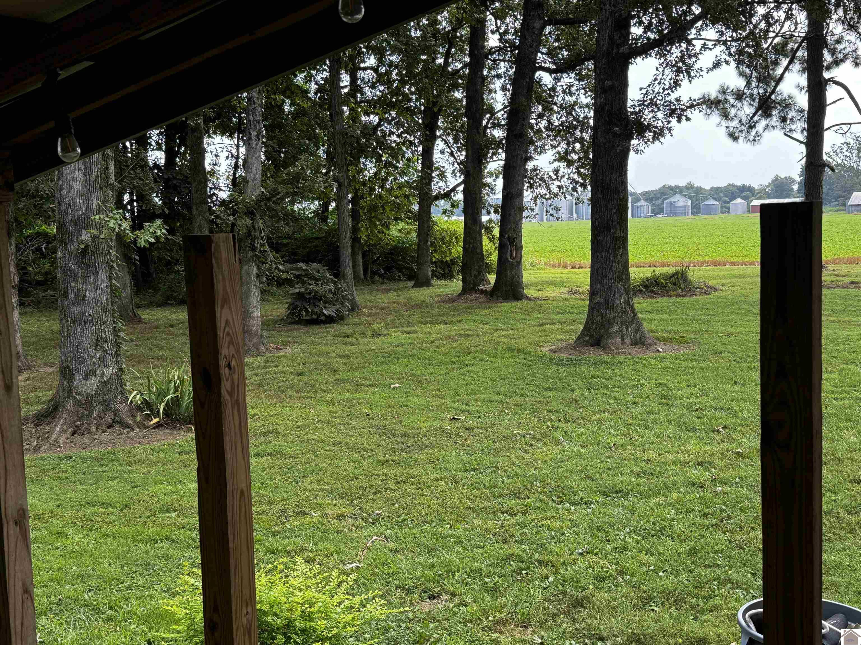 1078 Page Road Sedalia, KY 42079 - Photo 23 of 24 Photo 23