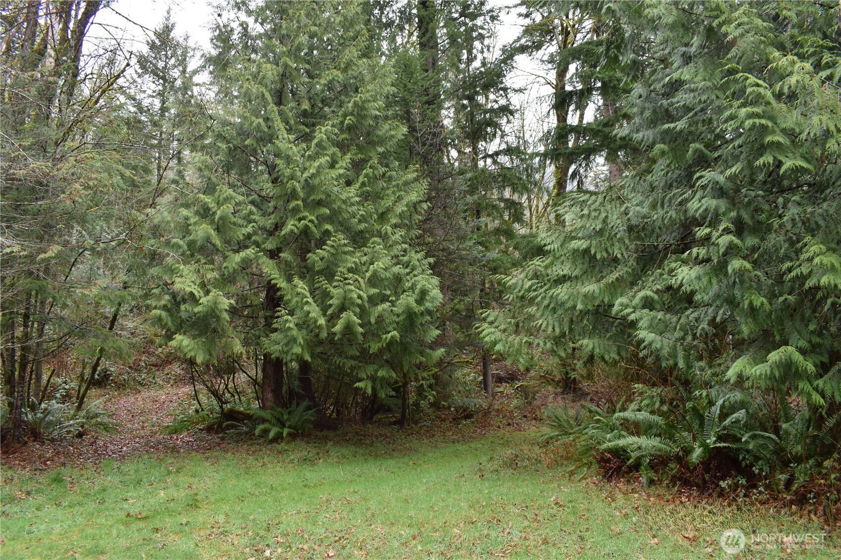 15327 May Creek Road Gold Bar, WA 98251 - Photo 18 of 35 a view of a yard