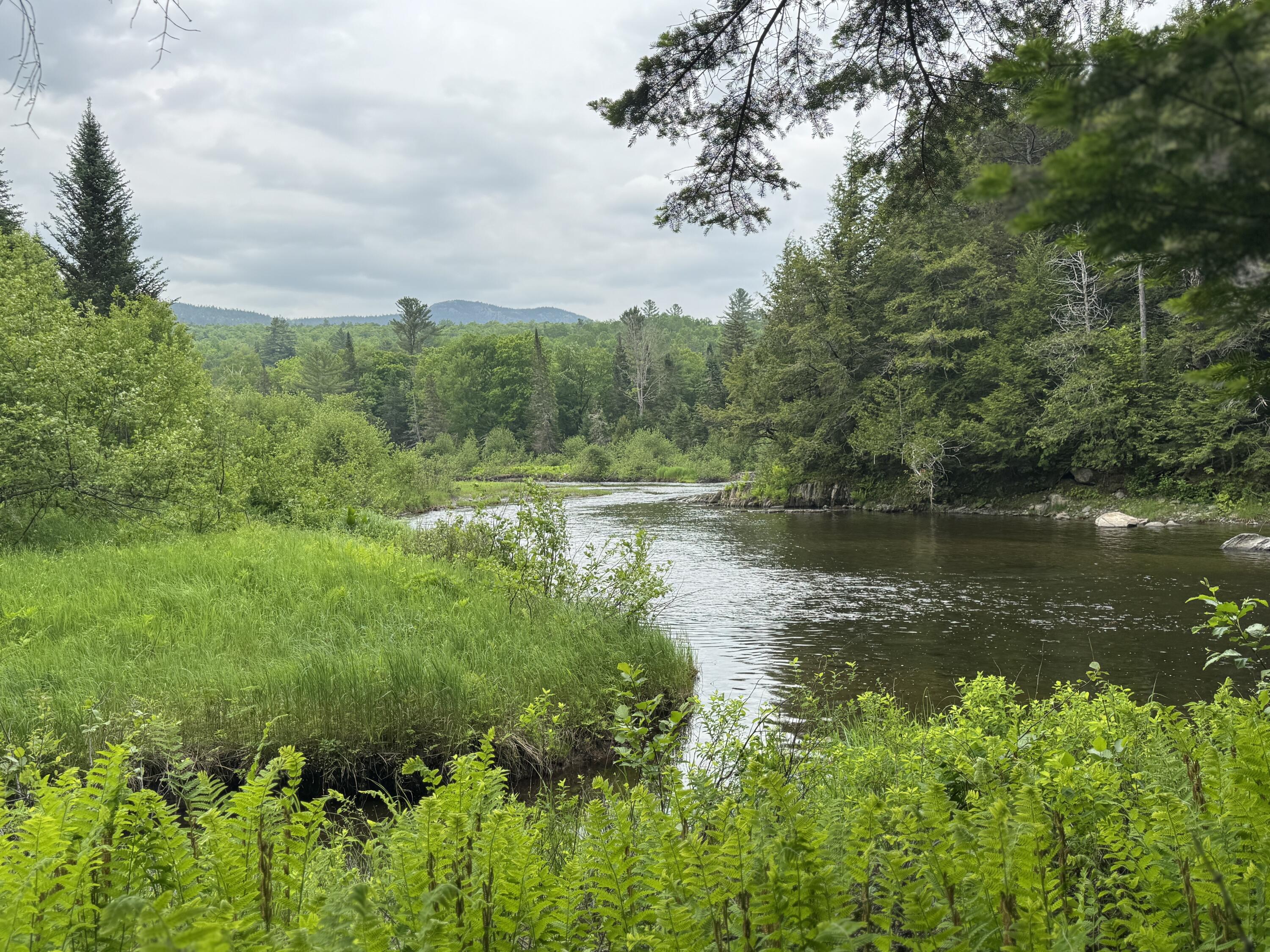 1215 Elliotsville Road Monson, ME 04464 - Photo 11 of 83 IMG_3583