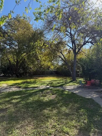 a view of a yard with a tree