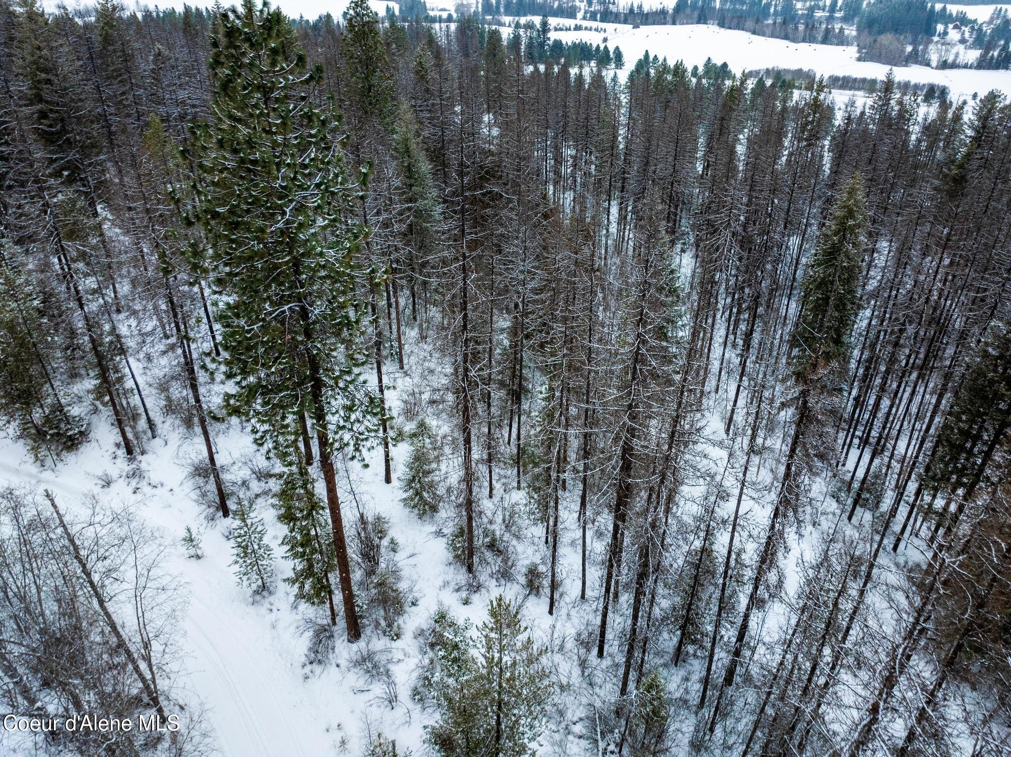 Nka Jewel Lake Road Sagle, ID 83860 - Photo 31 of 47 .