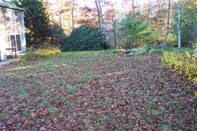 108 Ebenezer Road Osterville, MA 02655 - Photo 13 of 17 a view of a yard with a tree
