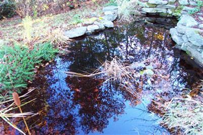 108 Ebenezer Road Osterville, MA 02655 - Photo 15 of 17 a picture of tree