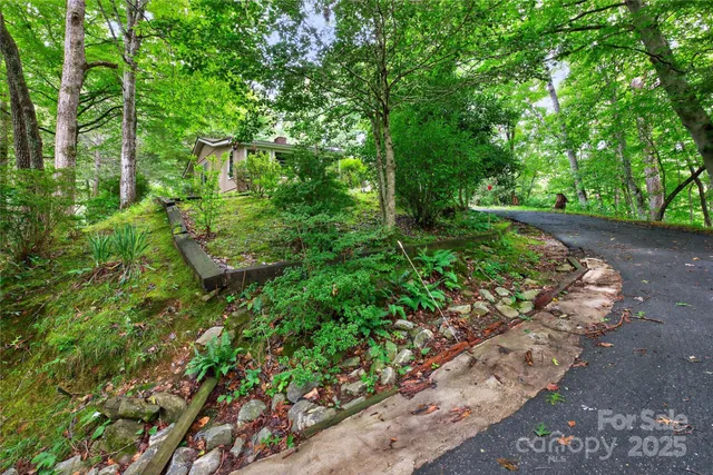 a view of a garden with plants