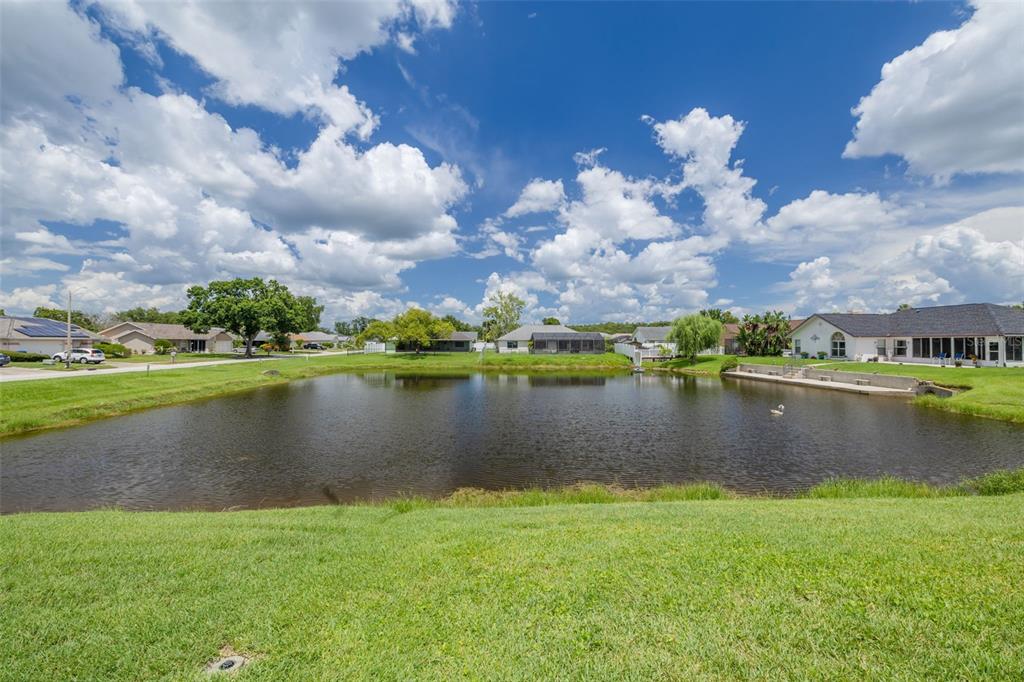 8811 Napa Loop New Port Richey, FL 34653 - Photo 32 of 40 pond