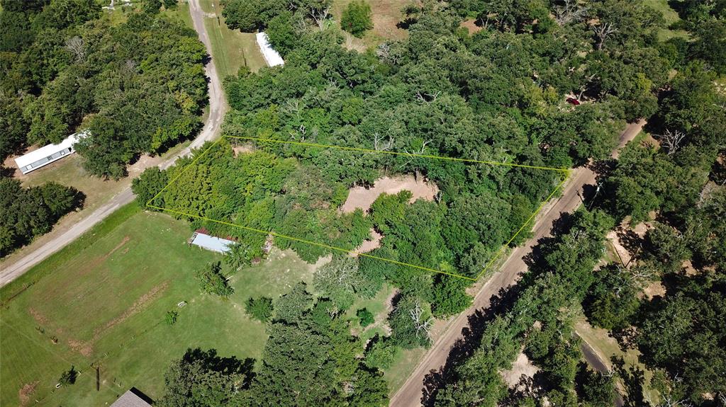 Tbd Triple N Ranch Road Trinidad, TX 75163 - Photo 7 of 12 view of a garden