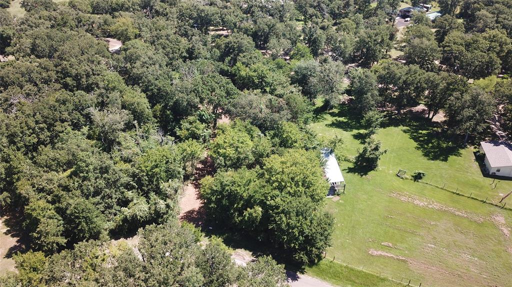 Tbd Triple N Ranch Road Trinidad, TX 75163 - Photo 10 of 12 a view of a forest with a yard
