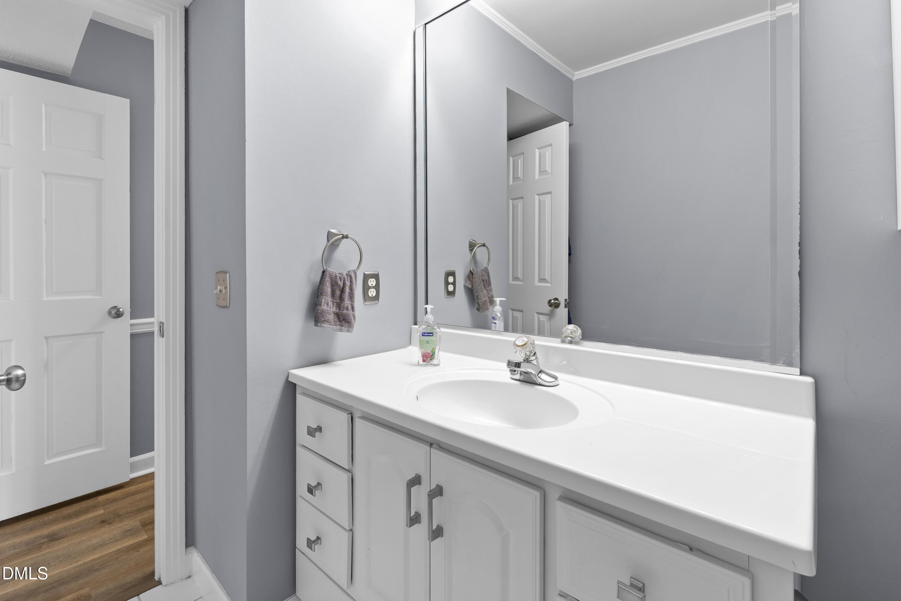 1821 Owls Nest Road Sanford, NC 27330 - Photo 72 of 77 a bathroom with a sink and a mirror