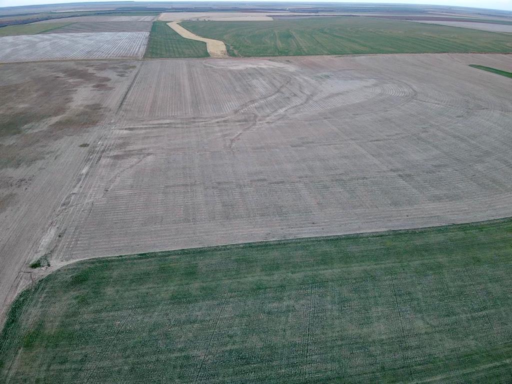 168 Anson Tx 79501 Anson, TX 79501 - Photo 8 of 10 a view of a yard