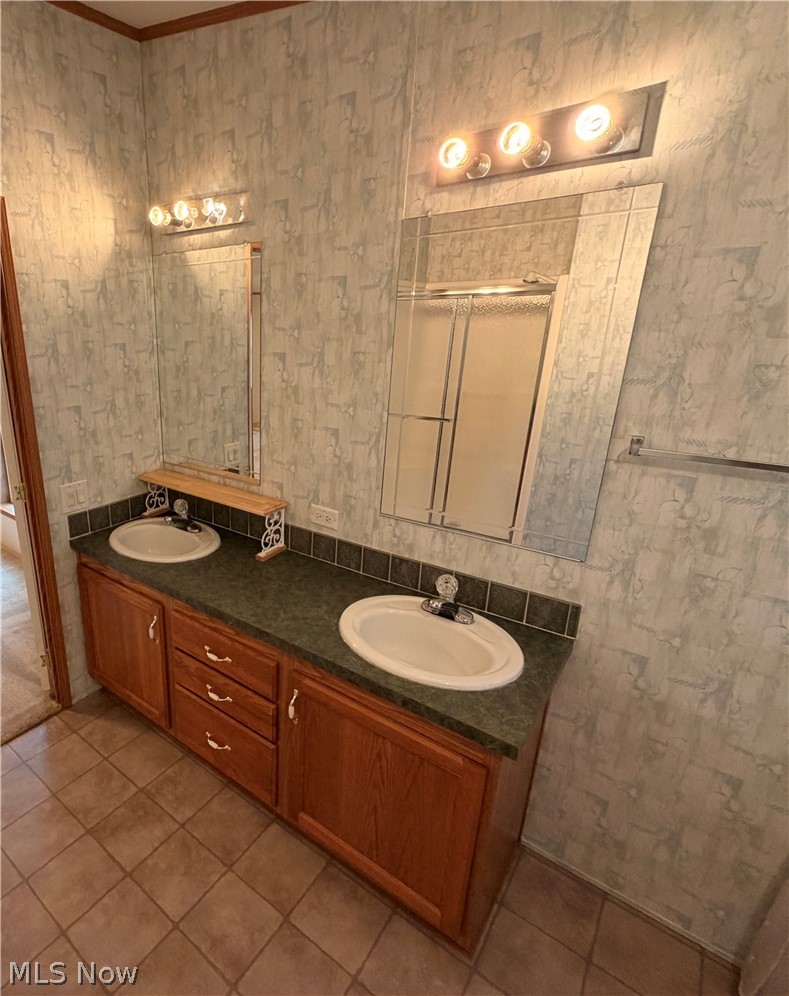 7213 Davis Road Orwell, OH 44076 - Photo 14 of 24 Double vanity with wood-finish cabinetry, dual undermount sinks, and a dark countertop