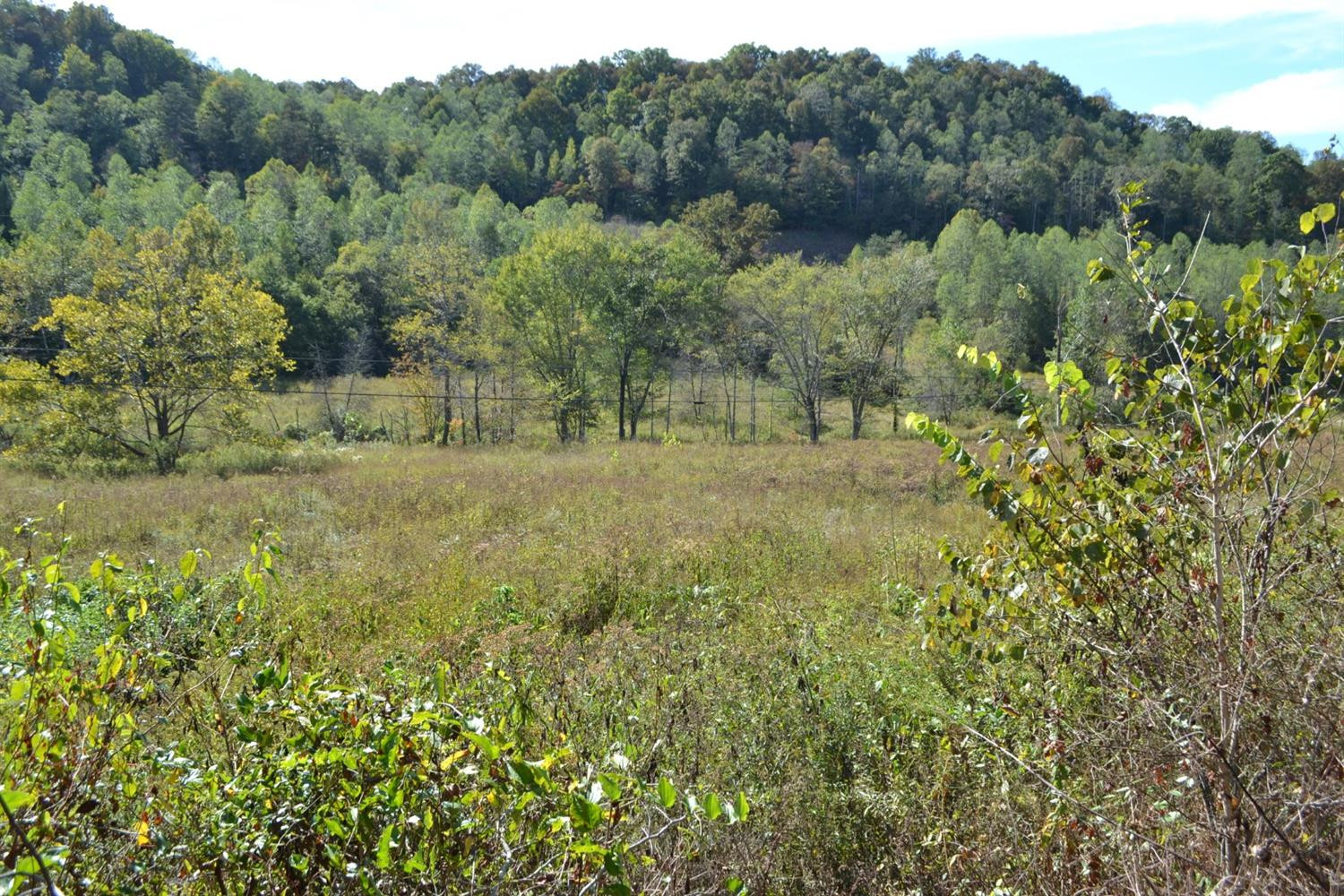 9999 Teges Creek Road Manchester, KY 40962 - Photo 4 of 32 Photo 4