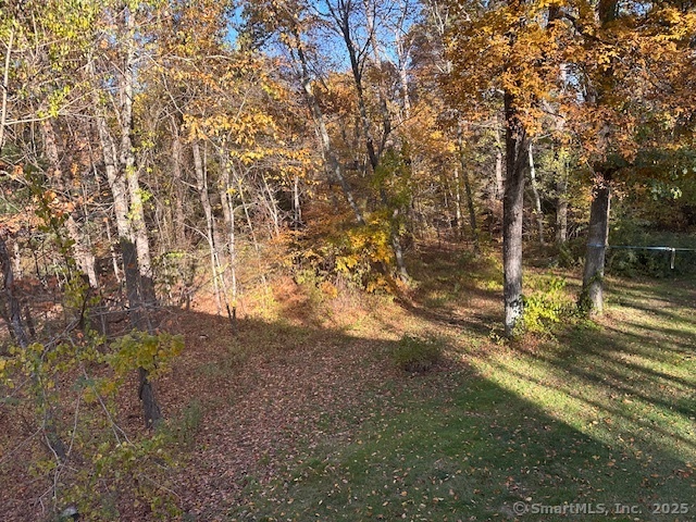 259 Westchester Road, Unit A Colchester, CT 06415 - Photo 22 of 24 a view of forest