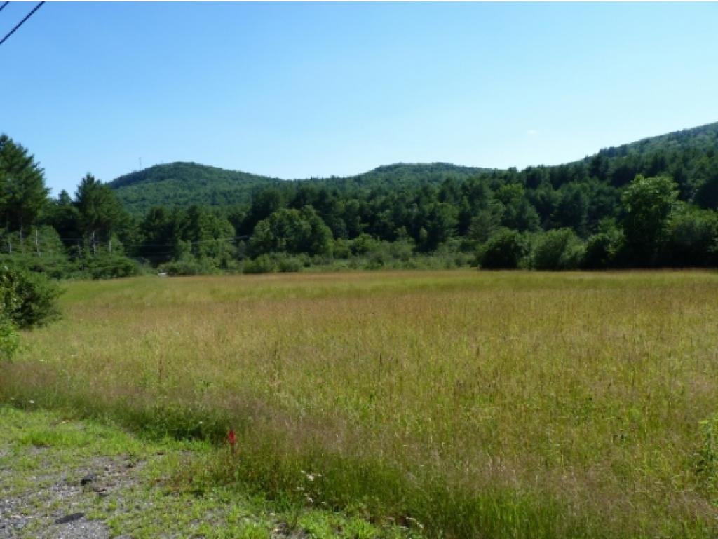460 Spofford Road Westmoreland, NH 03467 - Photo 3 of 4 Gallery Image 3