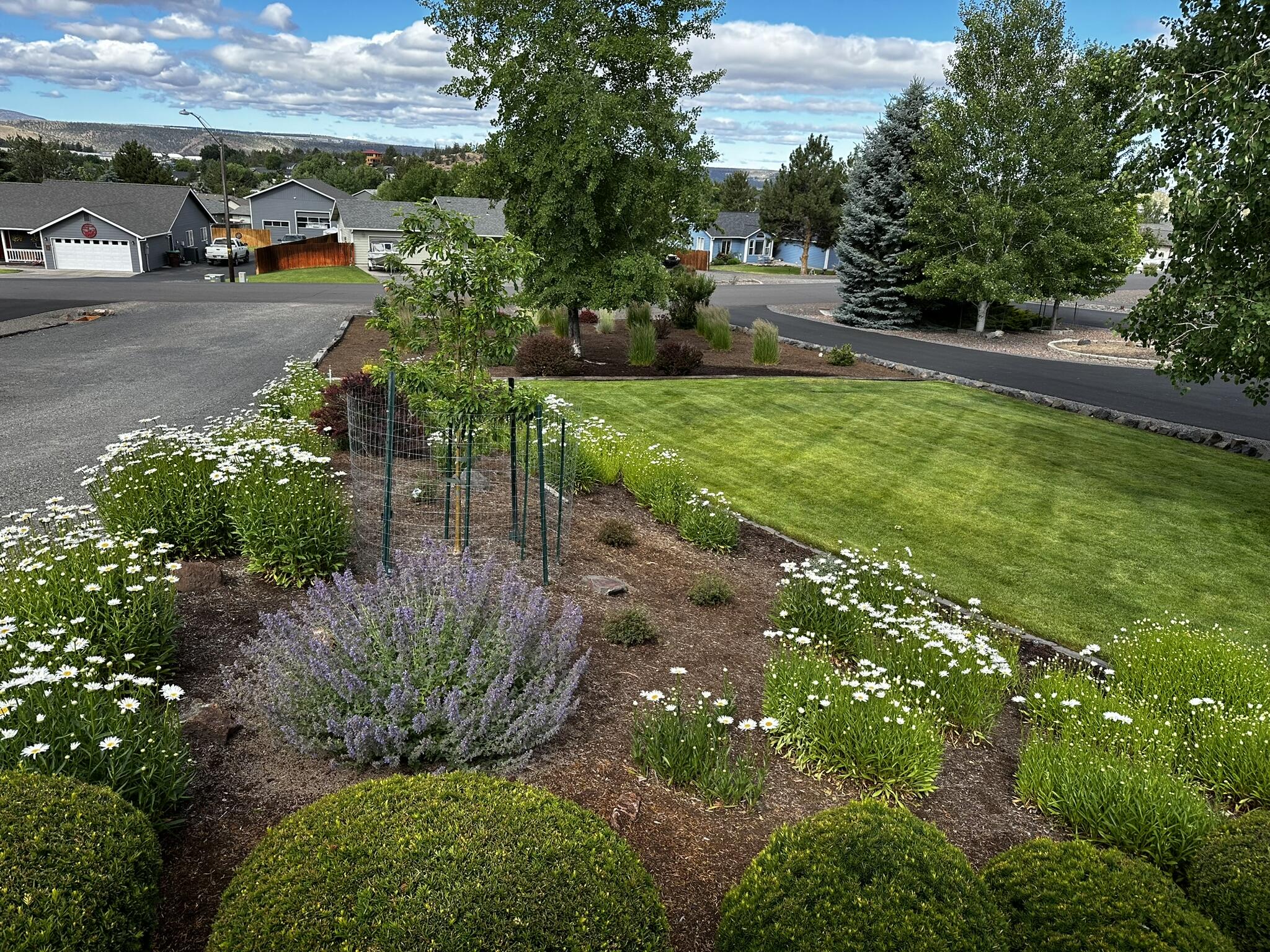 3082 Northeast Yellowpine Road Prineville, OR 97754 - Photo 34 of 50 IMG_2291