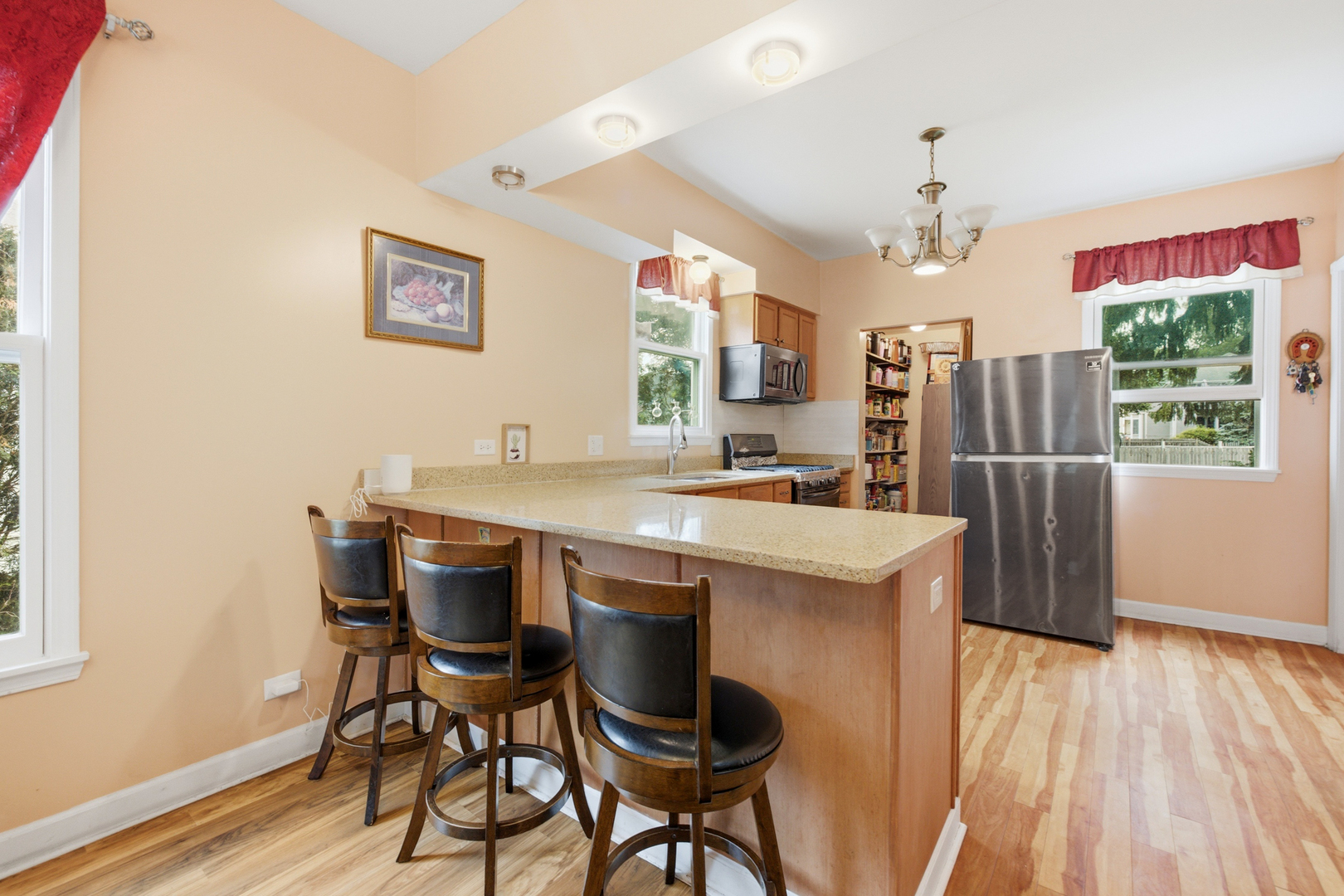 459 North Spring Street Elgin, IL 60120 - Photo 8 of 29 Gallery Image 8