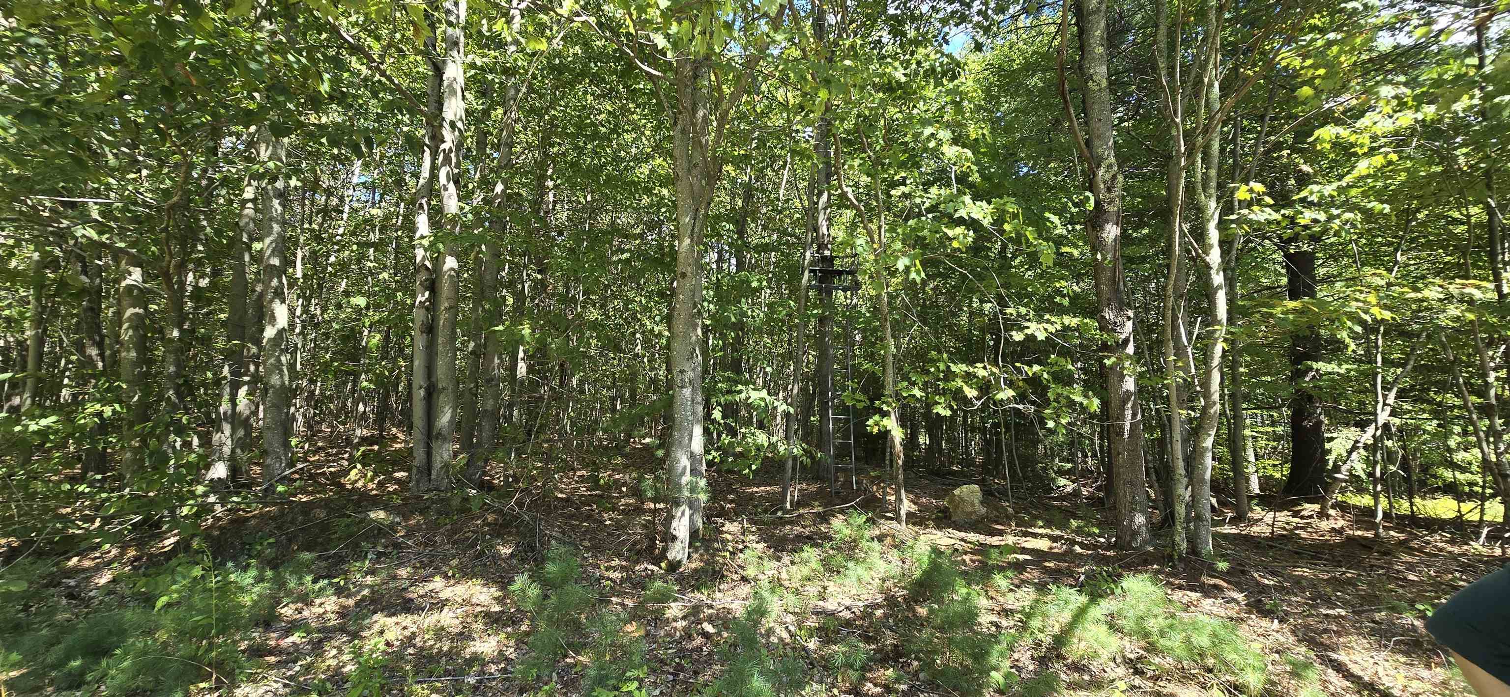 419-24 Meeting House Road Gilmanton, NH 03237 - Photo 17 of 19 Gallery Image 17