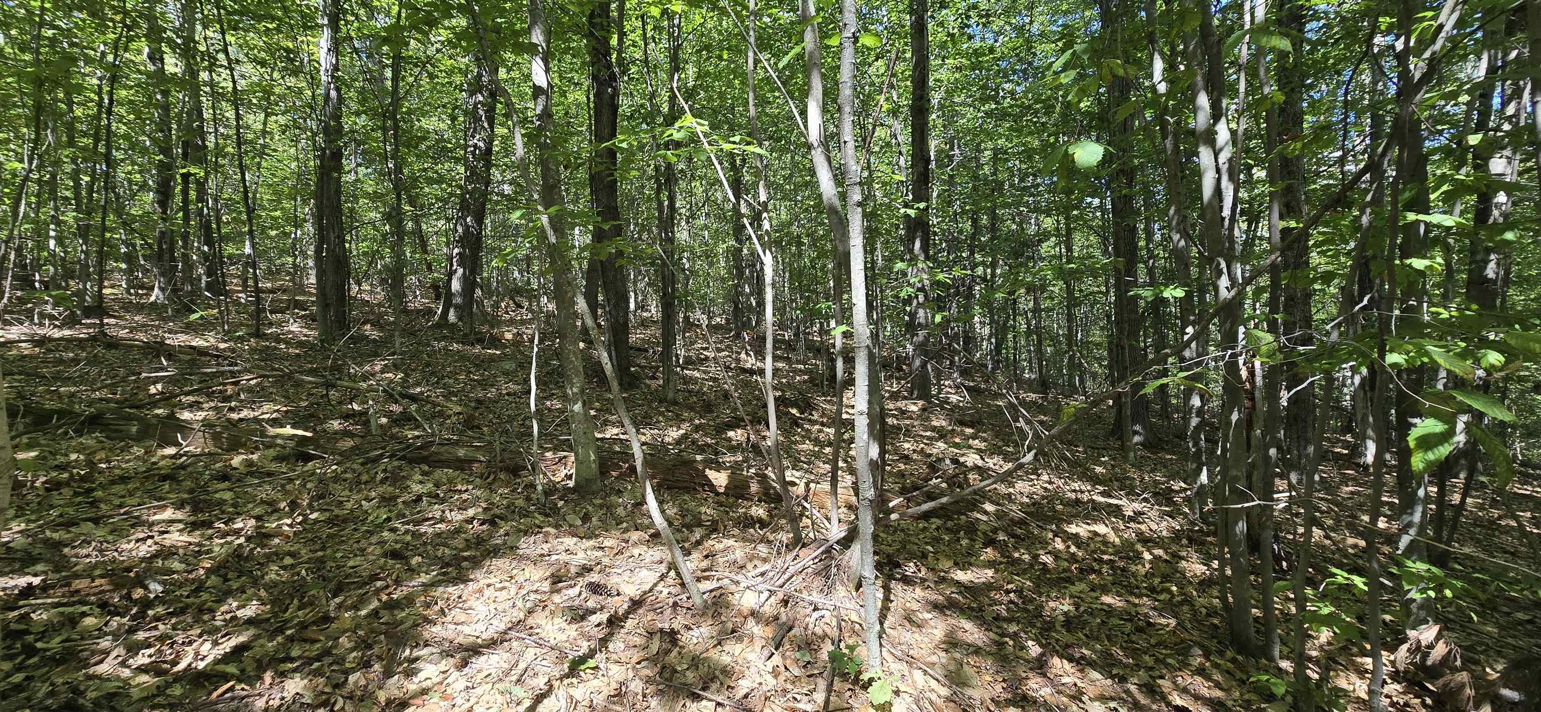 419-24 Meeting House Road Gilmanton, NH 03237 - Photo 4 of 19 Gallery Image 4