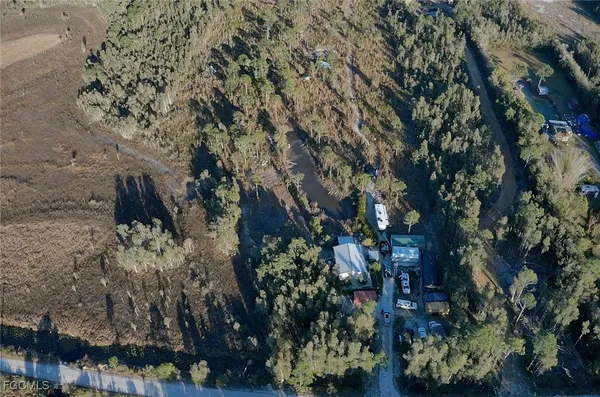 a view of a tree in a yard
