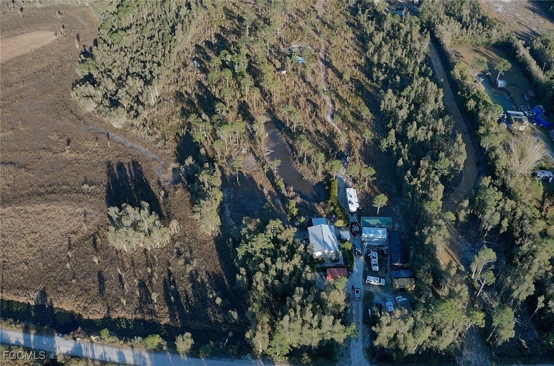 a view of a tree in a yard