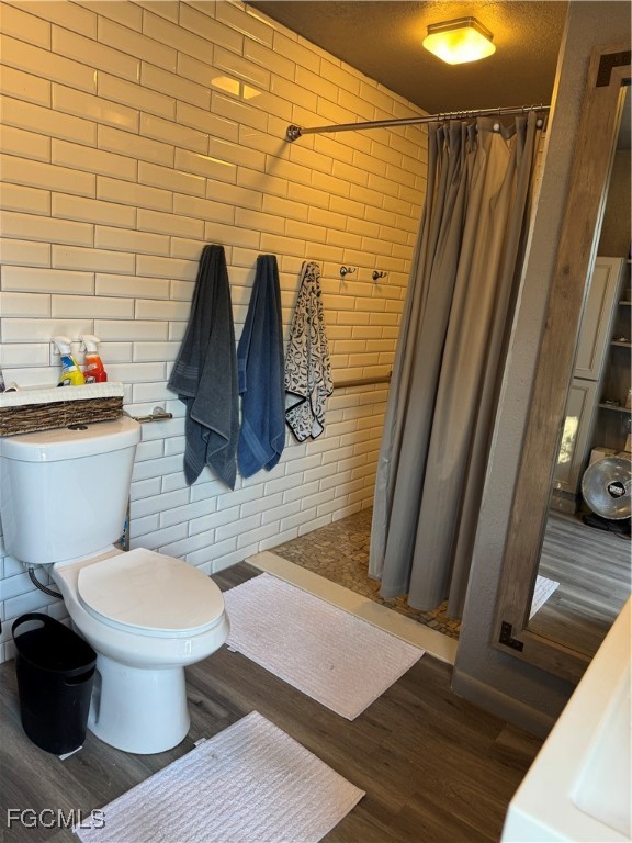 32576 Oil Well Road Punta Gorda, FL 33955 - Photo 14 of 30 a bathroom with a toilet and a sink