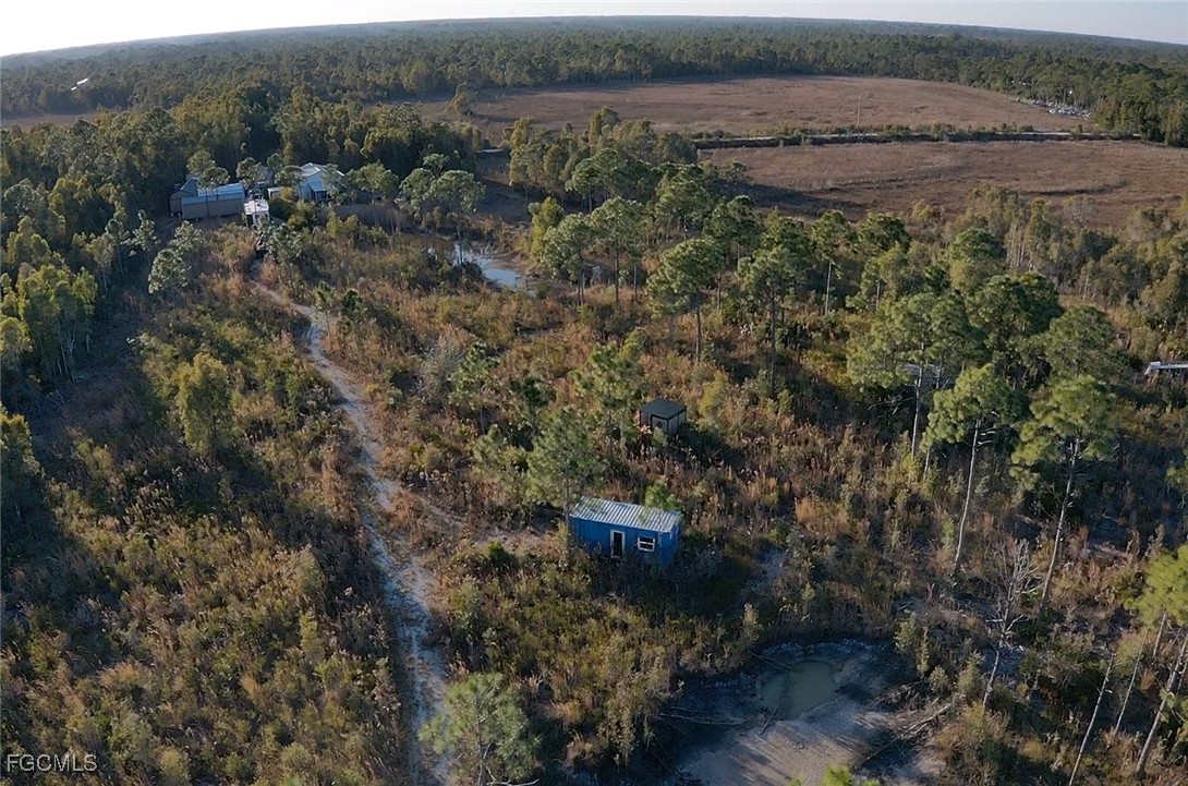 32576 Oil Well Road Punta Gorda, FL 33955 - Photo 26 of 30 a view of outdoor space and yard