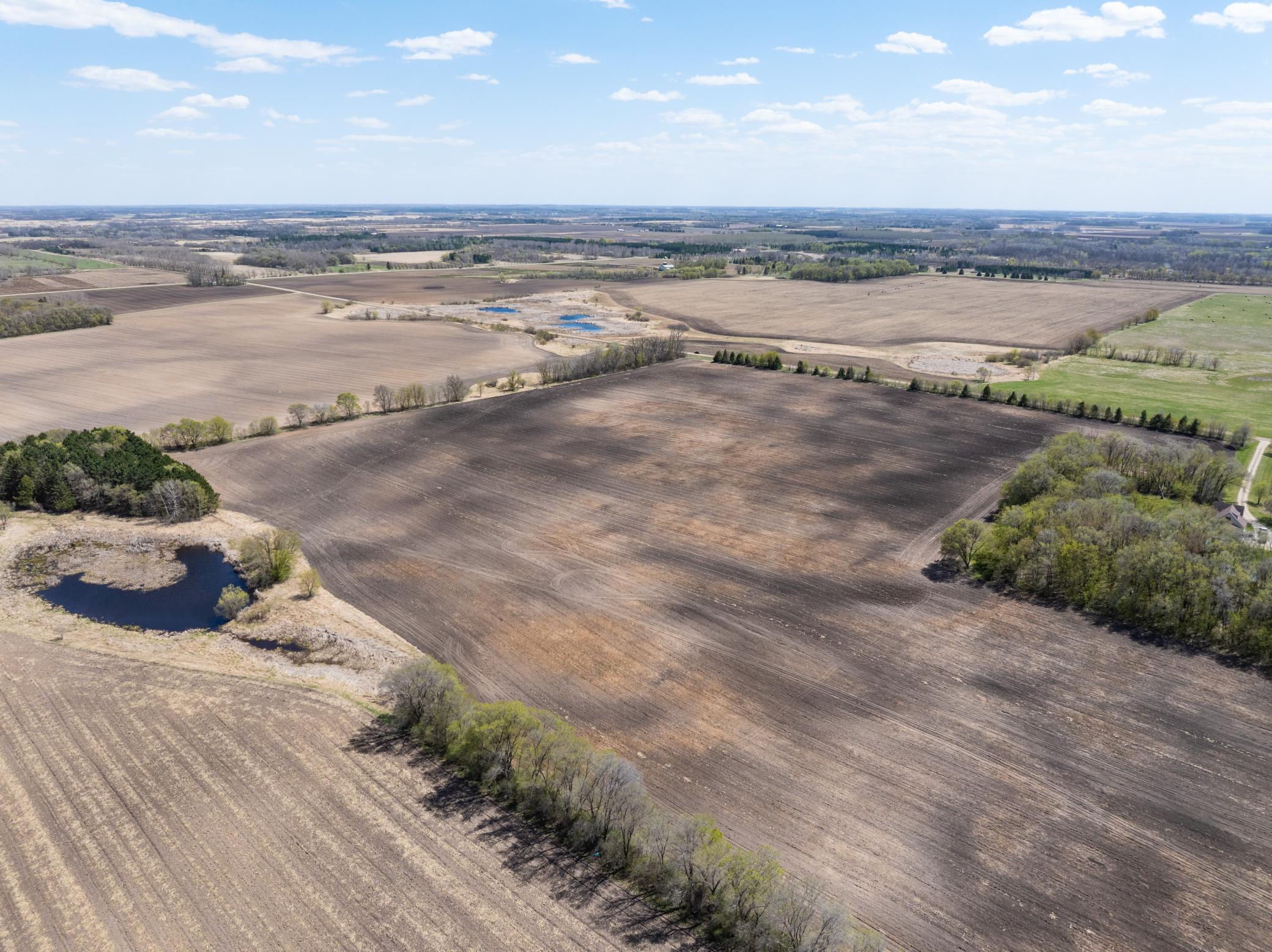 Forster Rd Forster Road Northeast Carlos, MN 56319 - Photo 6 of 12