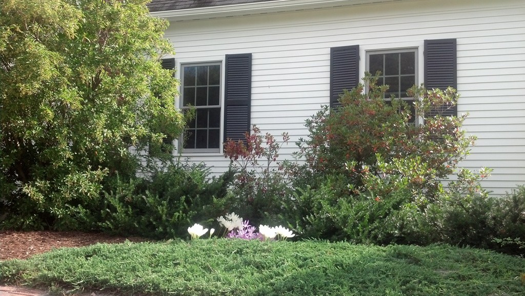 151 Broad Meadow Road Groton, MA 01450 - Photo 23 of 25 Gallery Image 23