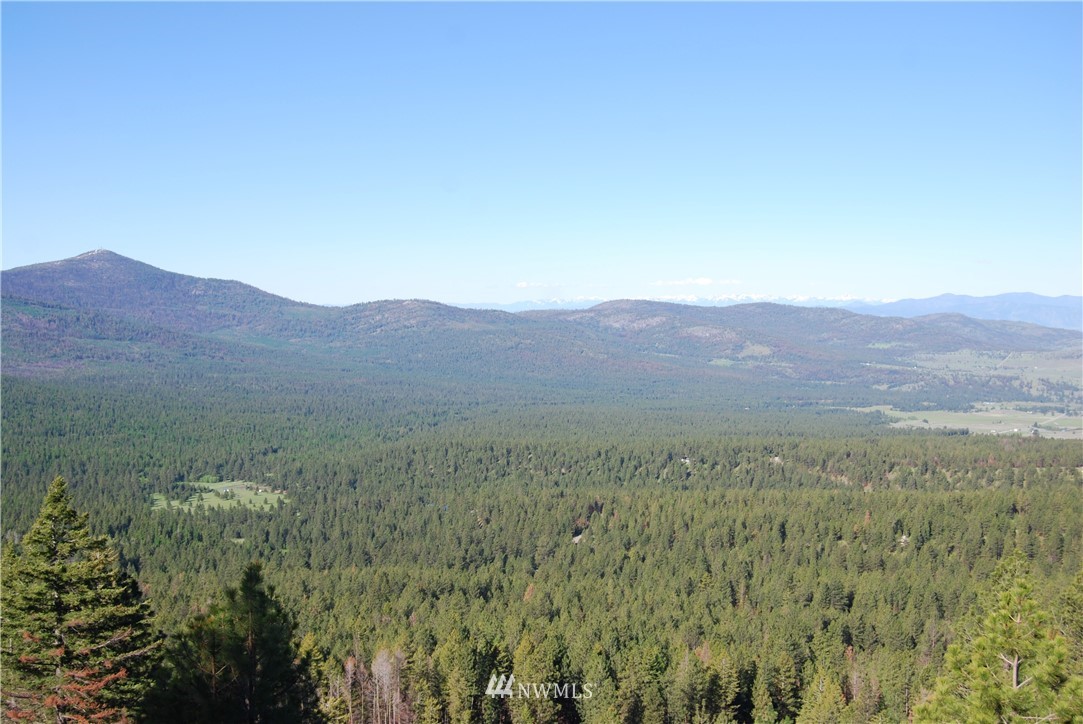 1839 Tunk Creek Road Riverside, WA 98849 - Photo 1 of 6 Gallery Image 1