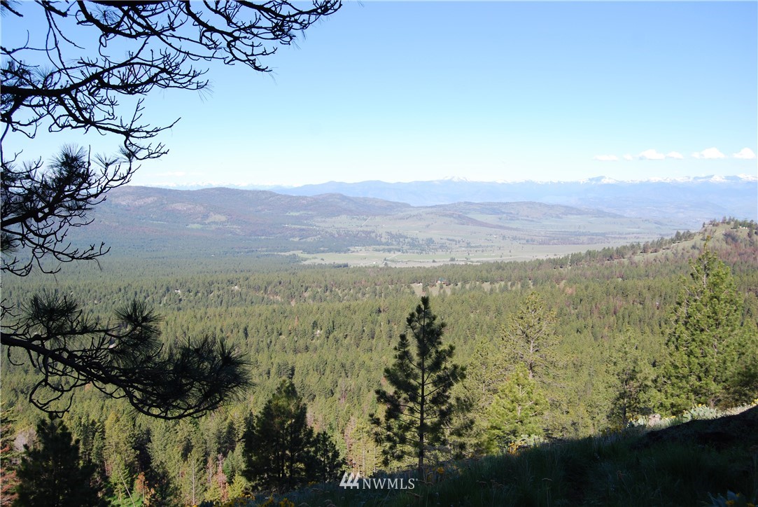 1839 Tunk Creek Road Riverside, WA 98849 - Photo 3 of 6 Gallery Image 3