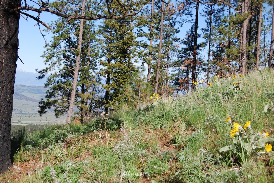 1839 Tunk Creek Road Riverside, WA 98849 - Photo 4 of 6 Gallery Image 4