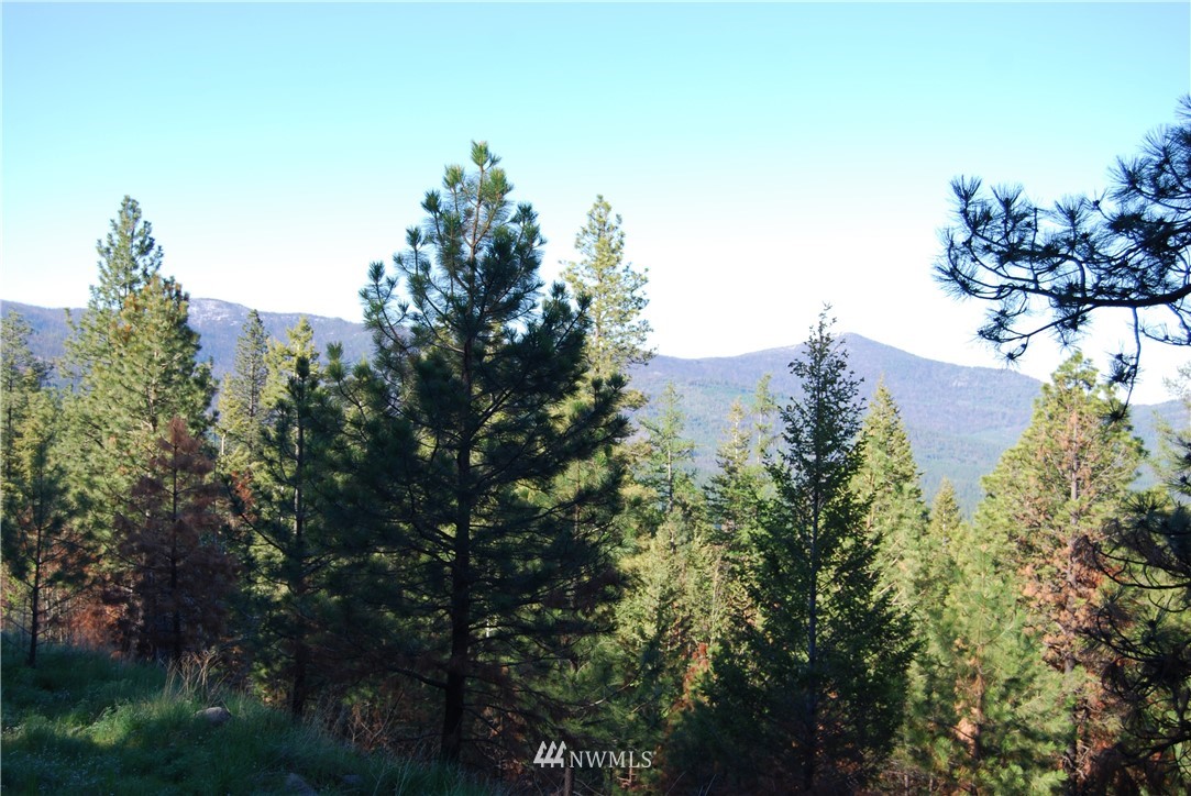 1839 Tunk Creek Road Riverside, WA 98849 - Photo 5 of 6 Gallery Image 5