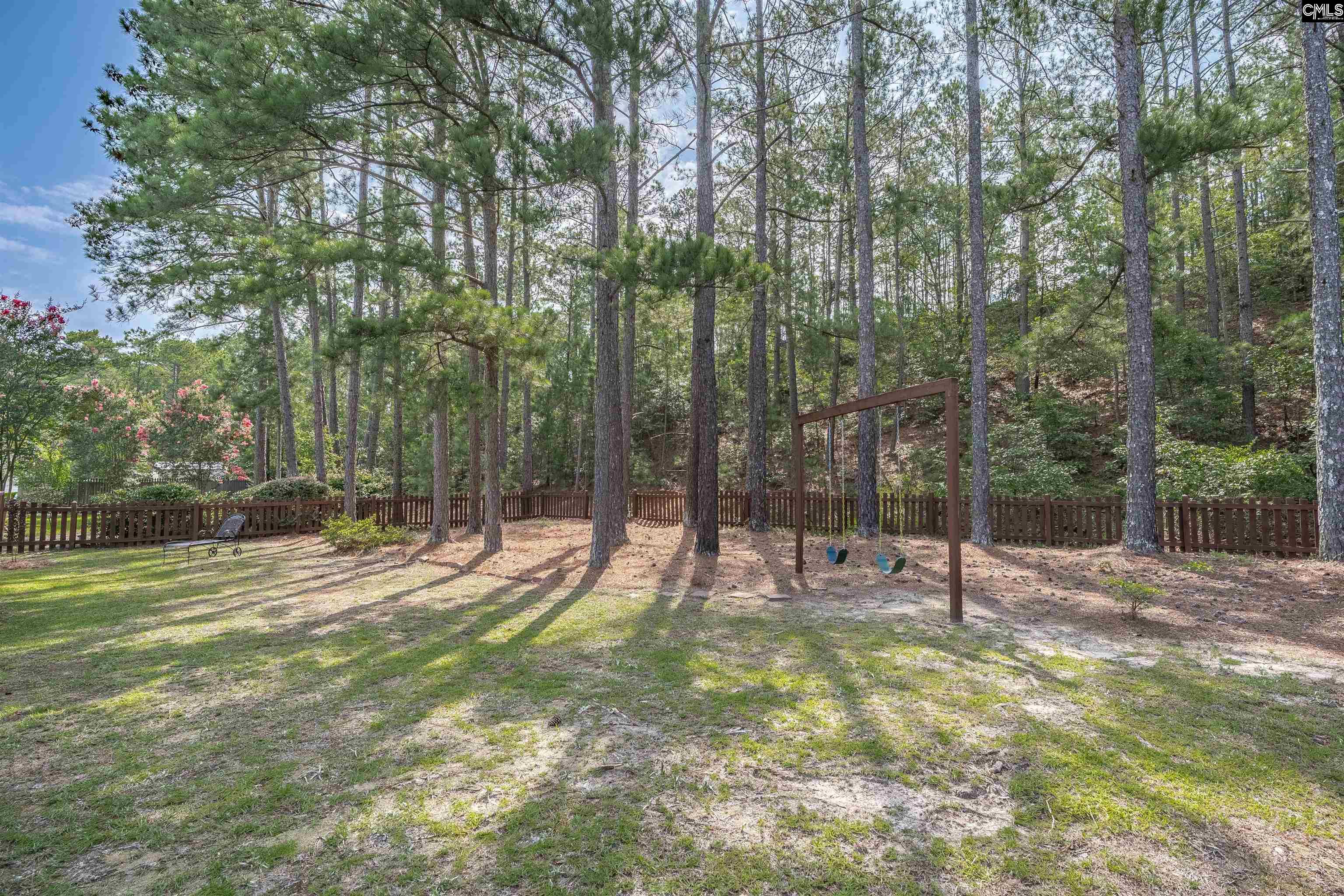 208 Dove Park Road Columbia, SC 29223 - Photo 36 of 41