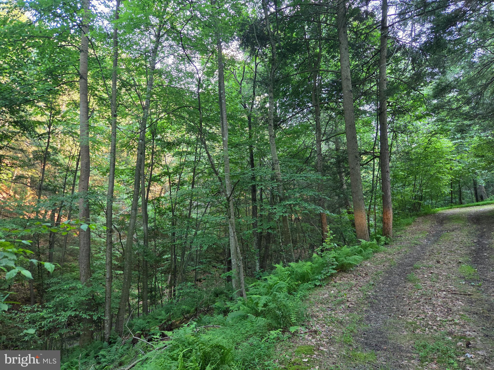 0 Carlisle Gap Road Lewistown, PA 17044 - Photo 15 of 53