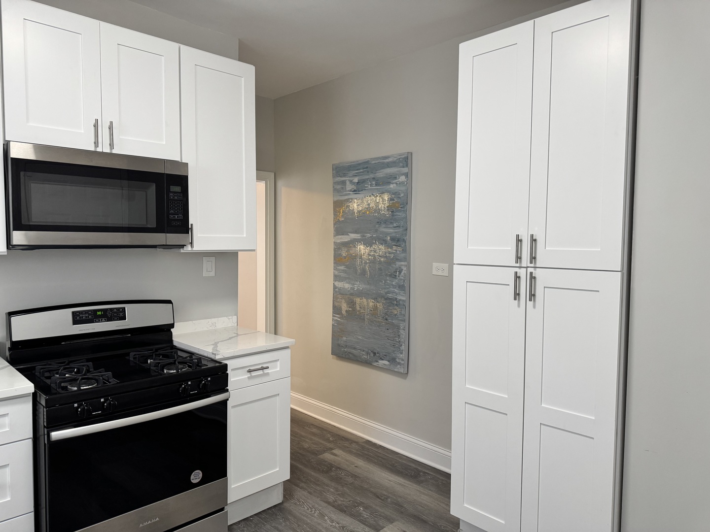 822 East 87th Place Chicago, IL 60619 - Photo 10 of 31 a kitchen with stainless steel appliances granite countertop white cabinets and black stove top oven with wooden floor