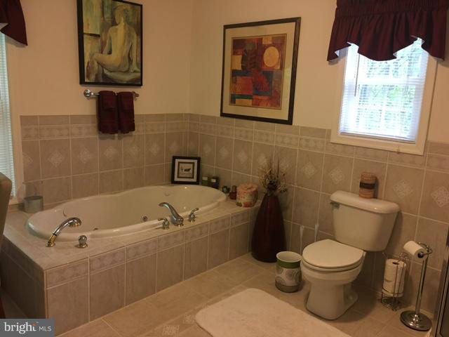 6088 Waterford Road Rixeyville, VA 22737 - Photo 11 of 26 Bath (Master)