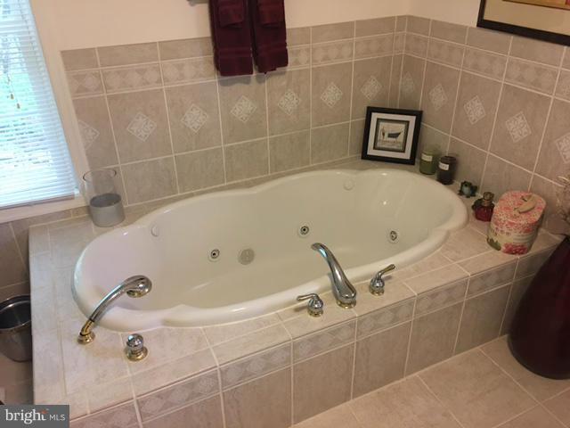 6088 Waterford Road Rixeyville, VA 22737 - Photo 12 of 26 Bath (Master)