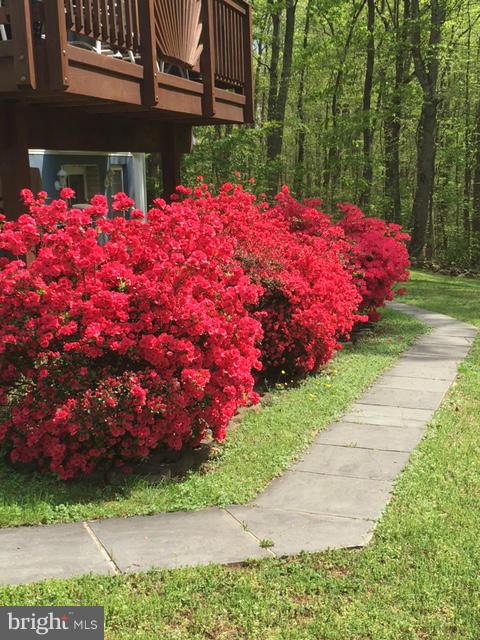 6088 Waterford Road Rixeyville, VA 22737 - Photo 26 of 26 Exterior (General)