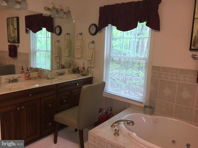 6088 Waterford Road Rixeyville, VA 22737 - Photo 9 of 26 Bath (Master)