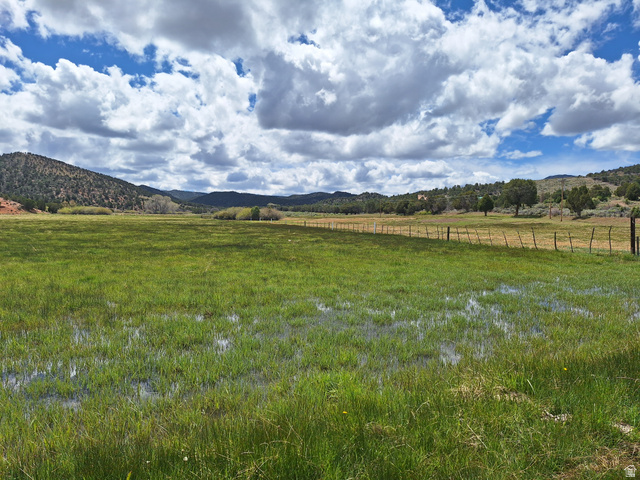Expansive open field with green ground cover and natural water features